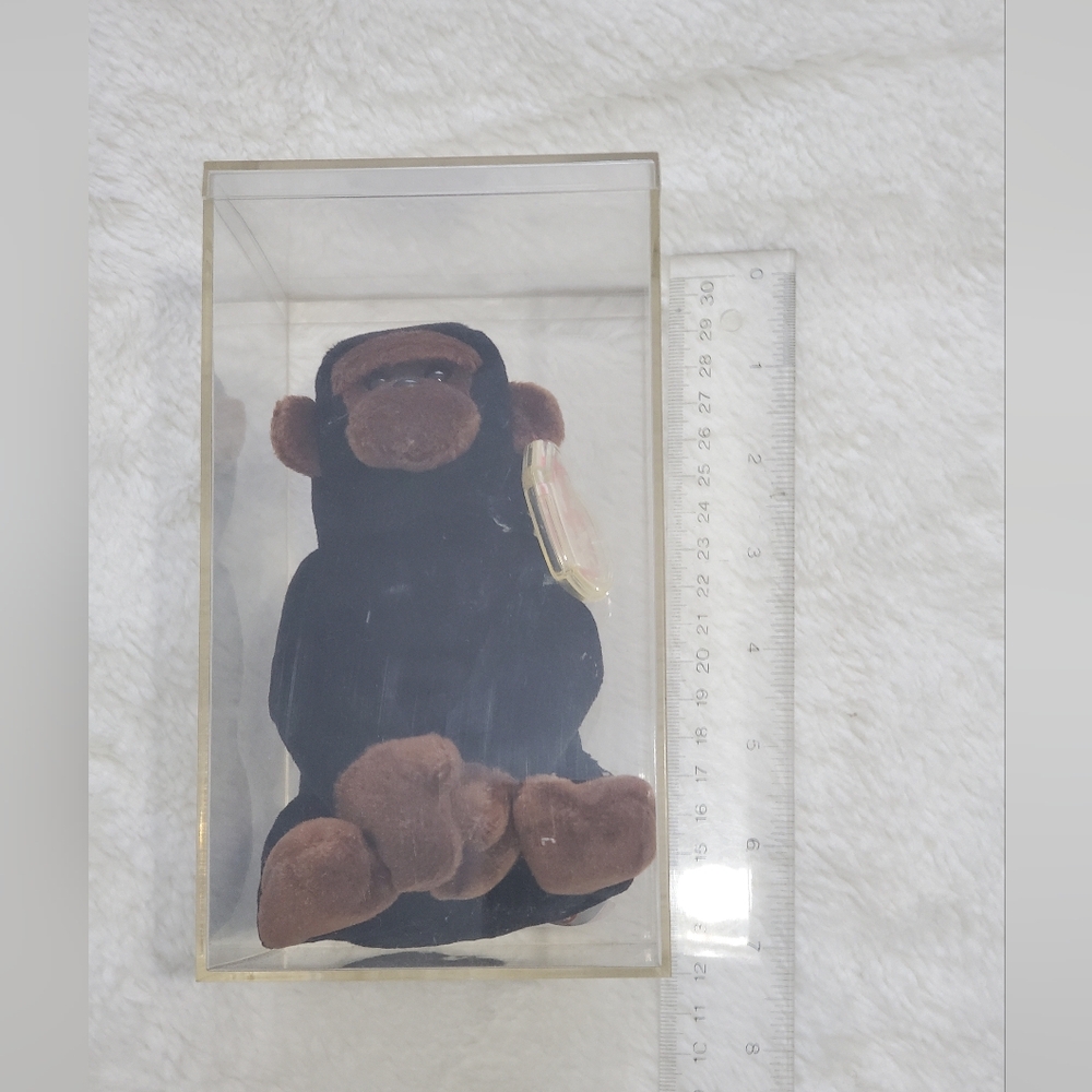 Black and Brown Plush Bear in Display Case